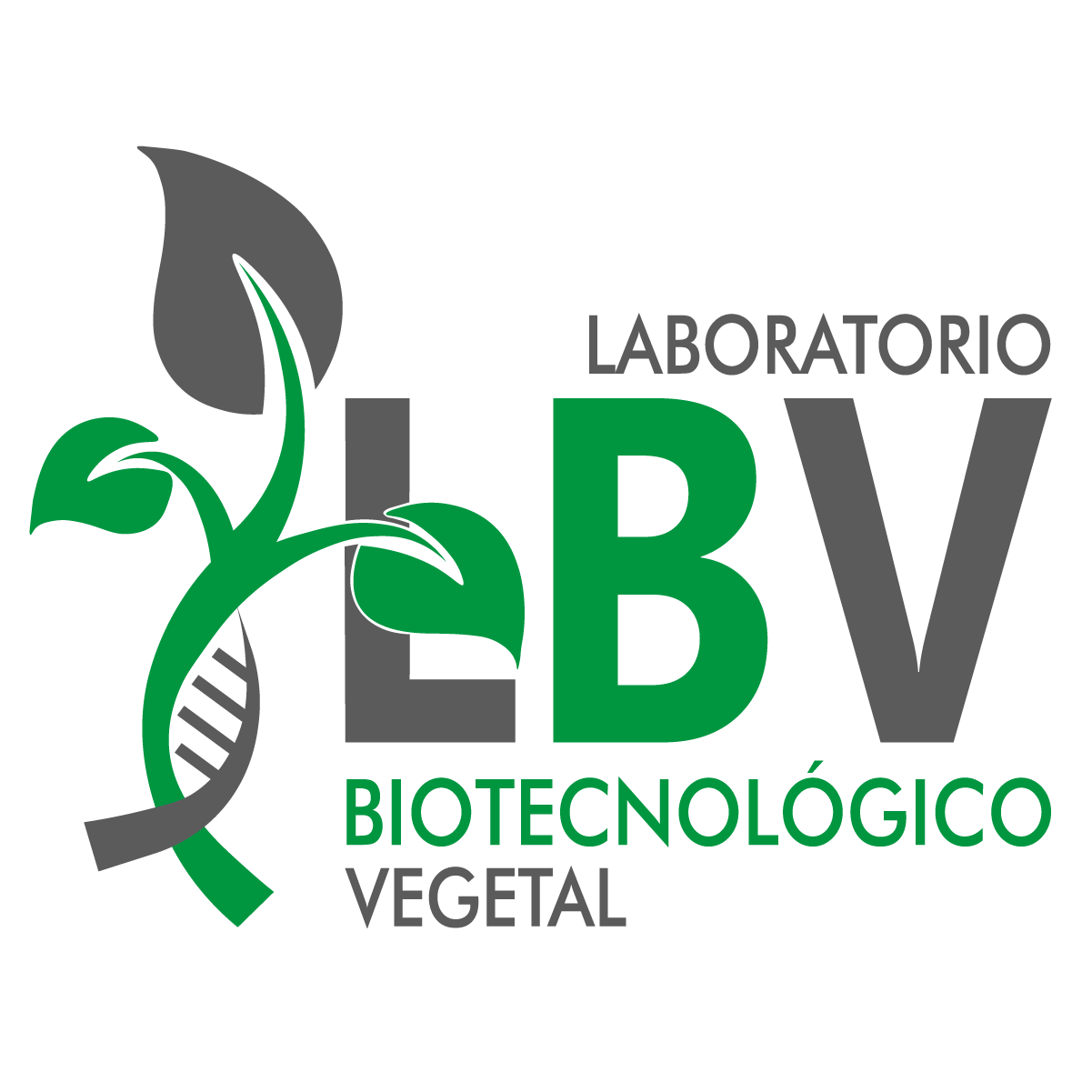 Laboratorio Biotecnológico Vegetal